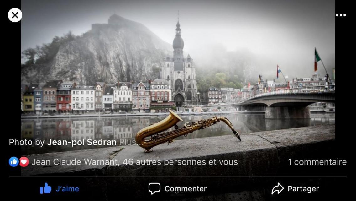 Les Voisins De Mr Sax Hotel Динант Екстериор снимка